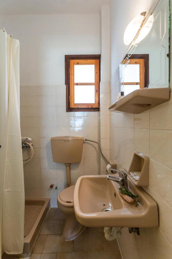 Ageri Studios ستافيلوس المظهر الخارجي الصورة